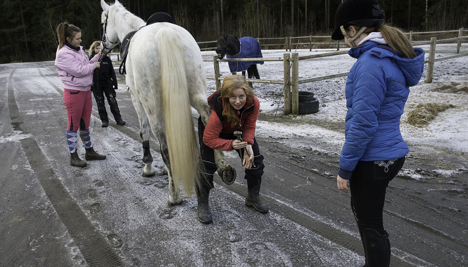Ragnhild Wilskog holder hesten Talida mens Maren Olsen Mostølen ordner skoene.