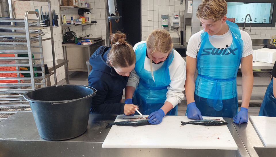 Elevene på Guri Kunna videregående skole gjennomfører eksamen. Å sløye fisk er en av oppgavene. Fra venstre: Berit Sættem, Johanna Wahlvåg, Theodor Skjeggestad og Oliver S. Espnes.