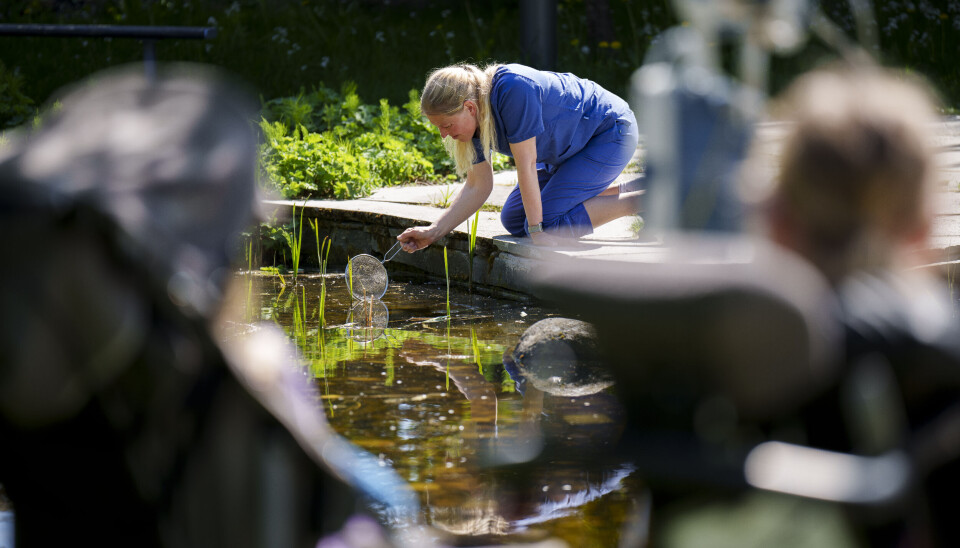 For Ingvild's students, school is a break from illness and injury