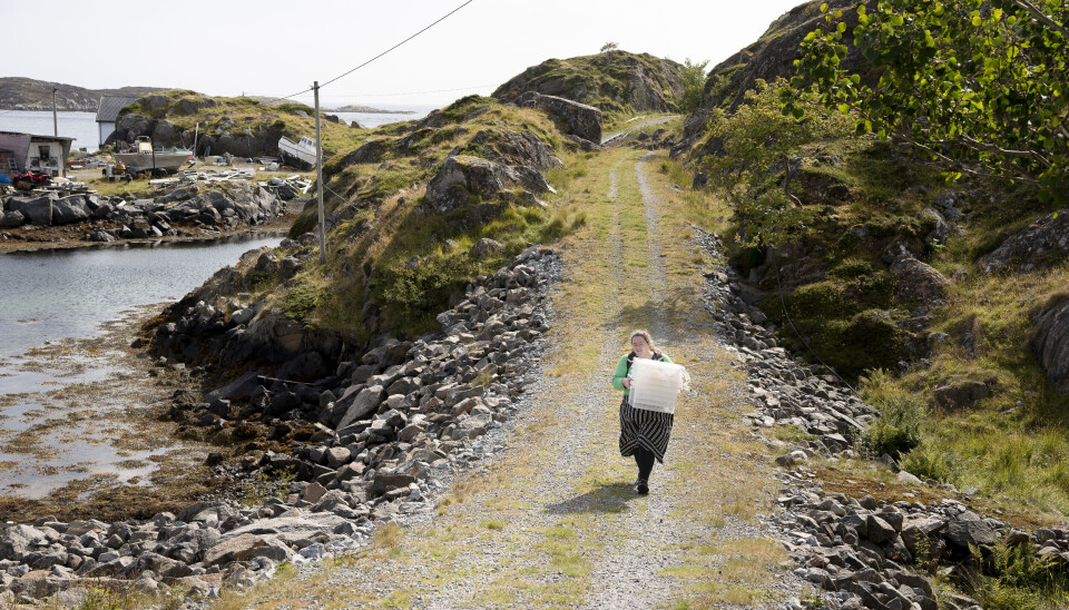 Ronja is a teacher at Norway's smallest school with only three students