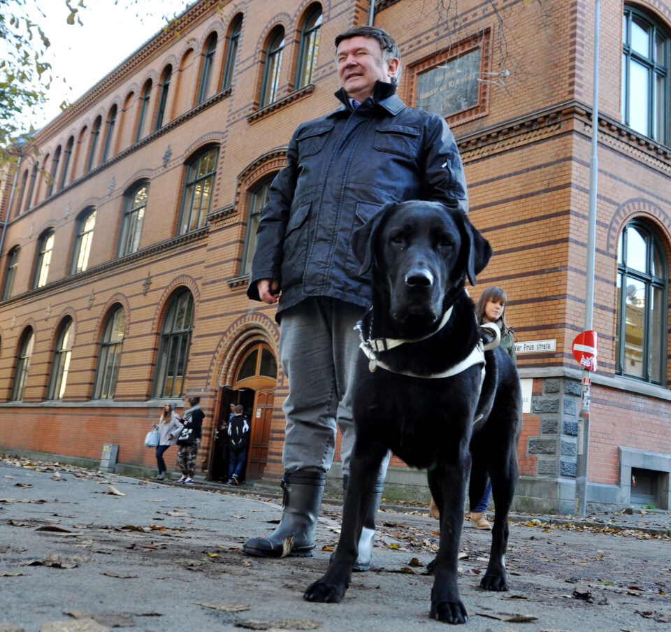 Labradoren «Winston» er Terje Karlsruds fjerde førerhund. førerhund blindehund blind synshemmet lærer orienteringsevne disiplin klasserom hund labrador
