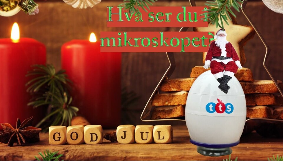 Ved bruk av et slikt mikroskop som nissen sitter på, tar de forstørrede bilder.