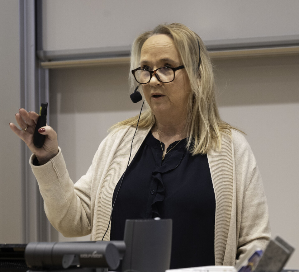 Universitetslektor Merete Rekdahl.