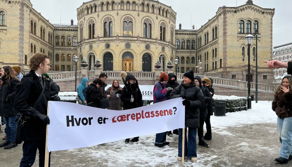 Yrkesfagelever demonstrerte foran Stortinget tirsdag.