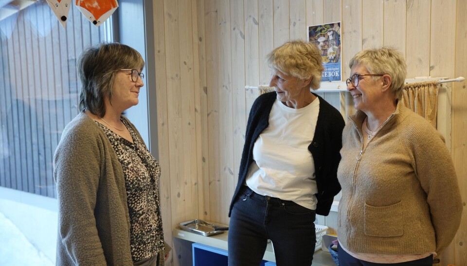 Astrid Moen (t.v.) er styrer i barnehagen på Tolga, og veldig takknemlig for jobben seniorvikarene Wenche Negård Brodal (71) og Anne Grete Nymoen (66) gjør.