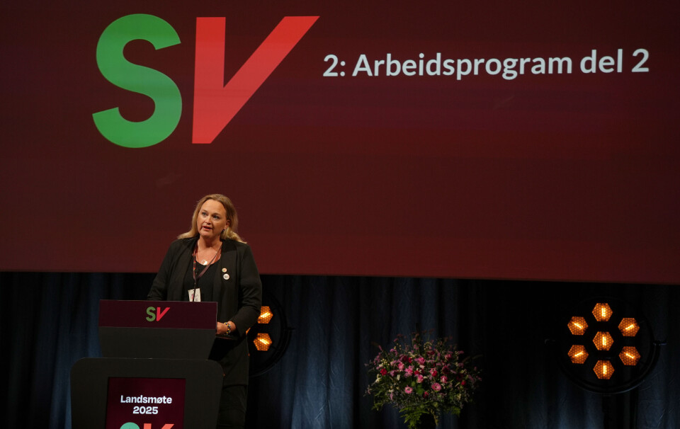 Christina Grefsrud Halvorsen, delegat fra Vestfold
