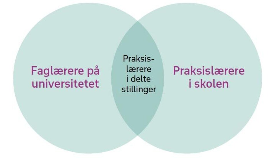 Figur 1: Praksislærere i delte stillinger på universitetet.