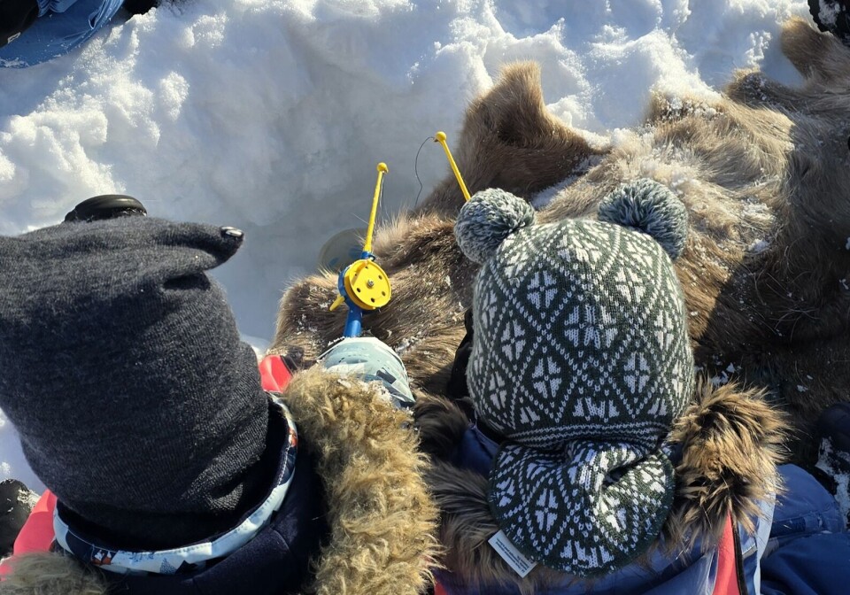 Isfiske med magnetfisker er populært under vinter-OL.