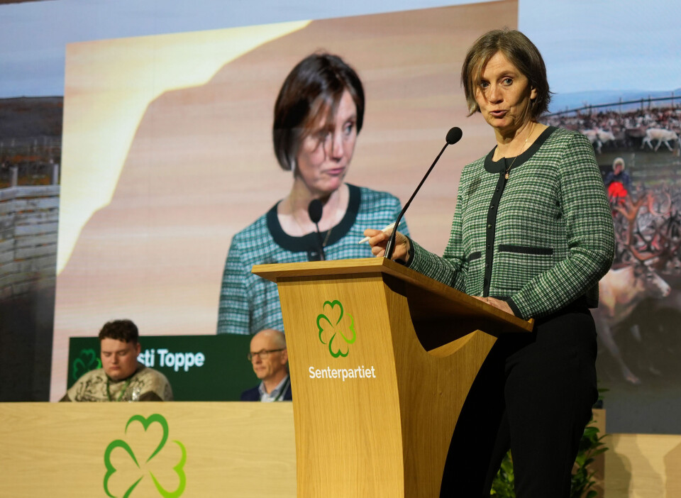 Kjersti Toppe