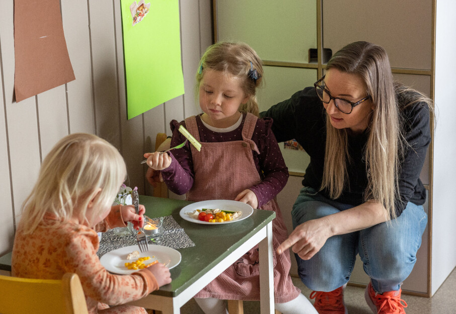 Slik Kan Du Jobbe Med Mangfold I Barnehagen Slik Kan Du Jobbe Med Mangfold I Barnehagen