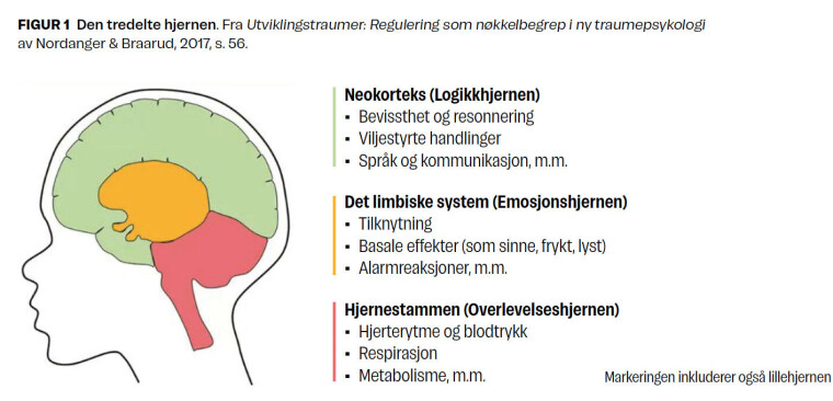 Betydningen av reguleringsstøtte i møte med utviklingstraumatiserte barn med utfordrende adferd