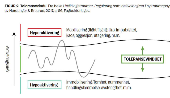 Betydningen av reguleringsstøtte i møte med utviklingstraumatiserte barn med utfordrende adferd