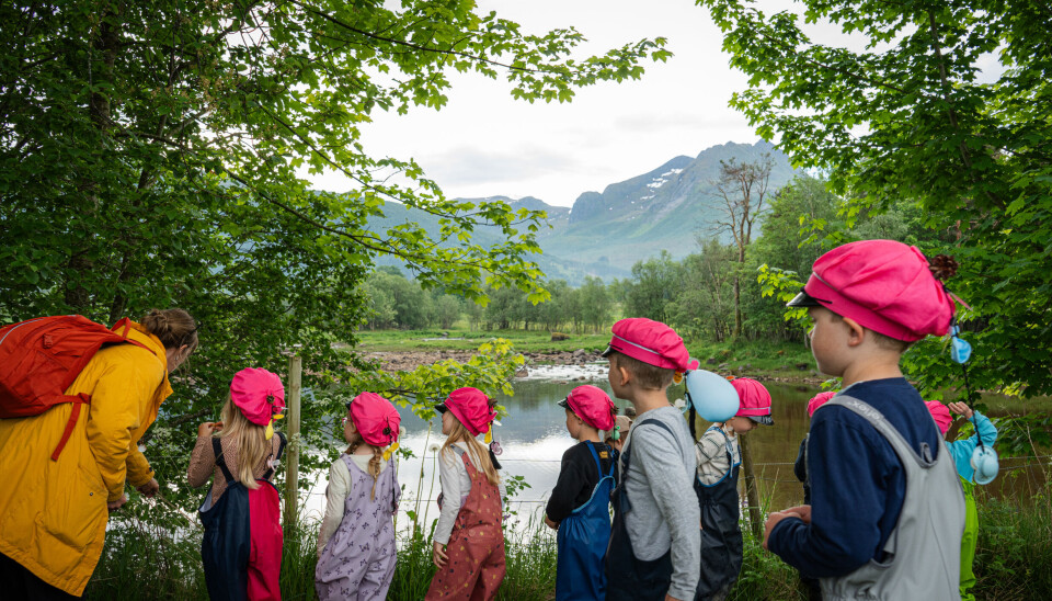 Barna i Svanviken barnehage har storslått natur rett utenfor døren der de kan finne naturelementer å lage naturkunst av.