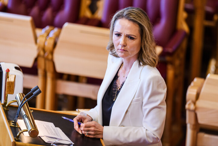 Sitter i styret til barnehagegigant – stemte ned innstramminger i Stortinget