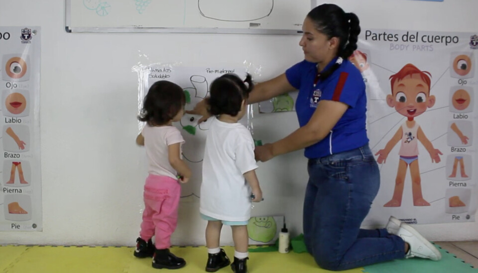 De som tar barnehagelærerutdanning ved et privat universitet i Mexico kan jobbe med barn mellom 0 og 6 år, mens de som tar førskolelærerutdanningen ved offentlige universitet kun jobber med barn mellom 3 og 6 år.