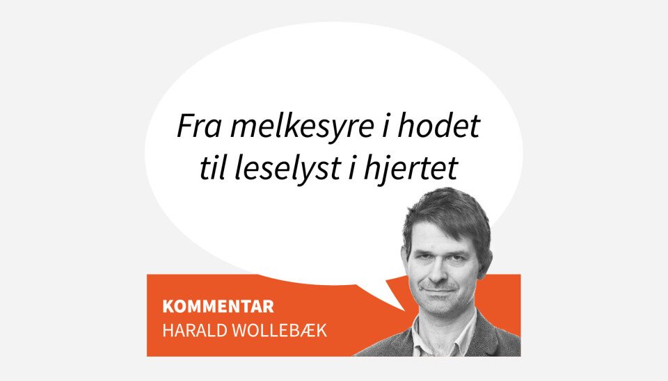Fra melkesyre i huet til leselyst i hjertet