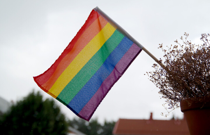 Ikke forbud mot prideflagg i Danmark